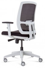 Luminous HB Exec. Arms. Synchro Mech. Seat Slide, Gas, White Frame. 135Kg. Black Mesh And Fabric Only